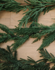 Norfolk Pine Garland