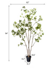 Japanese Enkianthus Tree