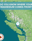Beach Labs Magnesium Spray