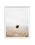 Great Plains Denizen | Mini