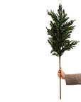 Blueberry Evergreen Stem
