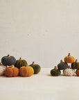 Boucle Pumpkin | Rust
