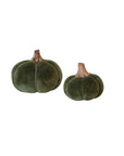 Velvet Pumpkin | Forest Green