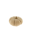 Boucle Pumpkin