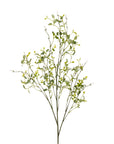 Butterfly Eucalyptus Stem