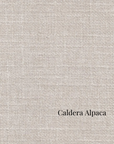Ruben Collection