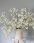 Dancing Oncidium Orchid Stem