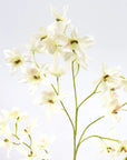 Dancing Oncidium Orchid Stem