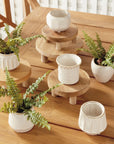 Dezie Mini Pot