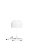 Dome Shade Cordless Table Lamp