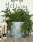 Douglas Fir Spray