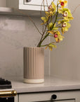 Fable The Vase