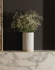 Fable The Vase