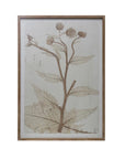 Flora Framed Wall Art