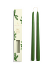 Frasier Fir Taper Candle Set