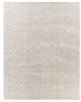 Gavic Rug | 2304