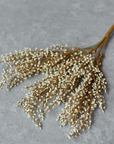 Heather Stem - Cream