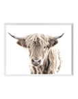 Highland Cow - White Frame