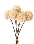 Mini Allium Bouquet | Cream