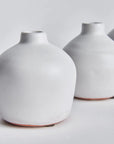 Kassi Bud Vase