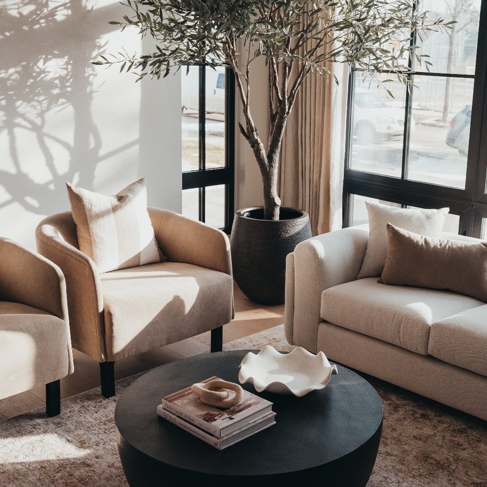 a living room after a design consultation