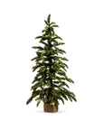 Lighted Pine Tree