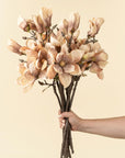Magnolia Branch | Cream