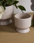 Tan Pasadena Pot