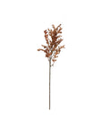 Oak Leaf Stem