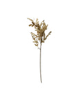 Oak Leaf Stem