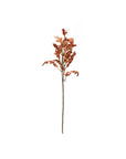 Oak Leaf Stem