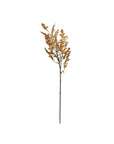 Oak Leaf Stem