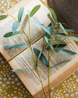 Olive Leaf Stem