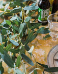 Olive Leaf Stem