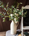 Olive Leaf Stem