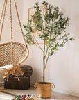 Olive Tree