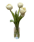 Peony Tulip Bundle | 15"