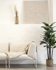 Rubber Plant