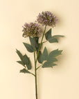 Sedum Spray | Purple
