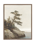 The Old Pine