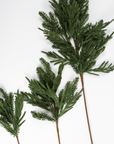 Evergreen Mixed Stem