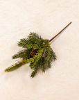 White Spruce Pick