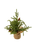 Winterwood Tabletop Tree