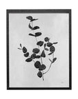 Botanical Study Wall Art II