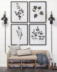 Botanical Study Wall Art I