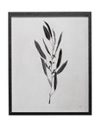 Botanical Study Wall Art I