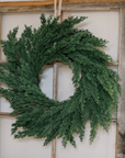 Cypress Pine Wreath 24"