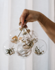 Dried Botanical Ornament (Set of 6)