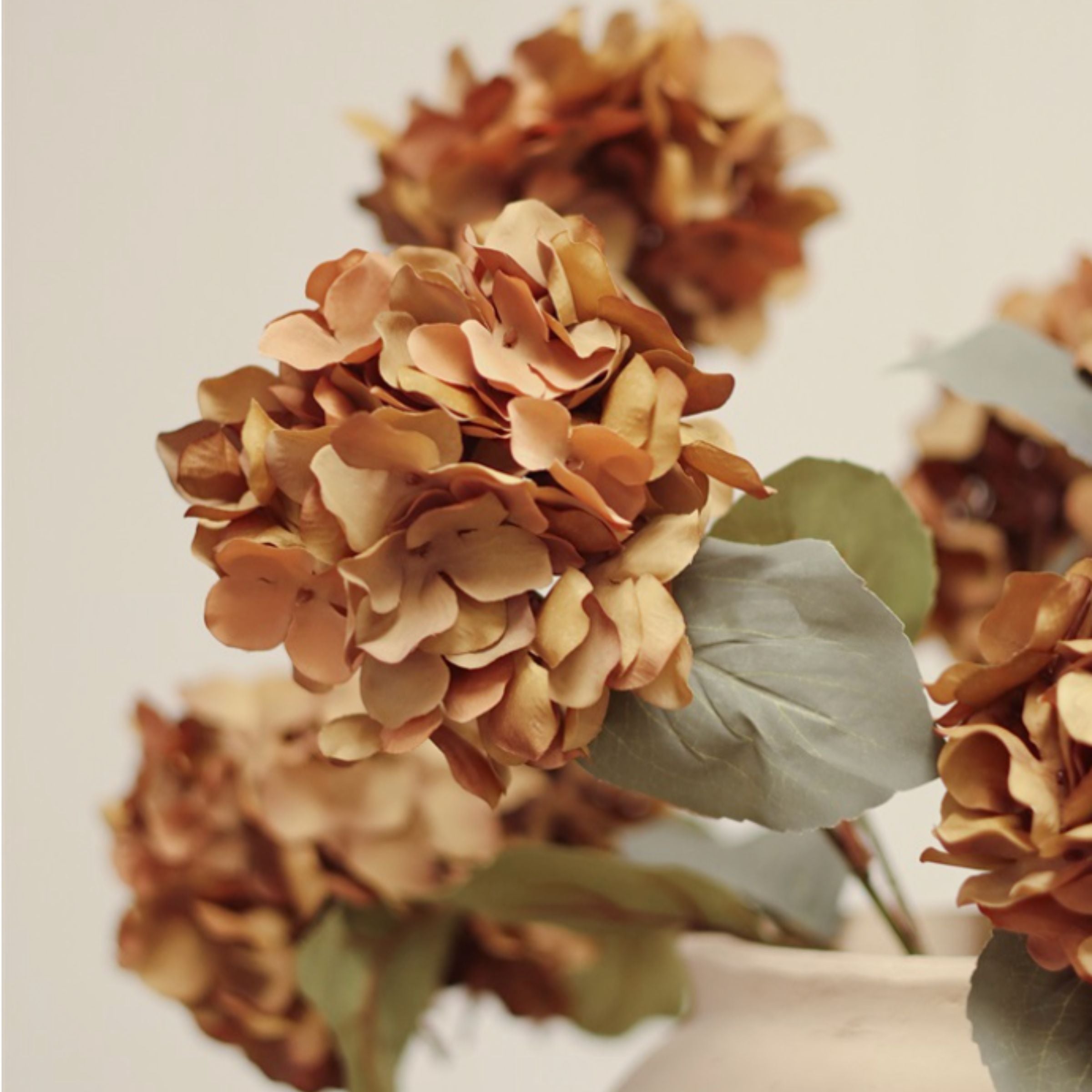 Spring Hydrangea Spray