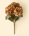 Spring Hydrangea Spray